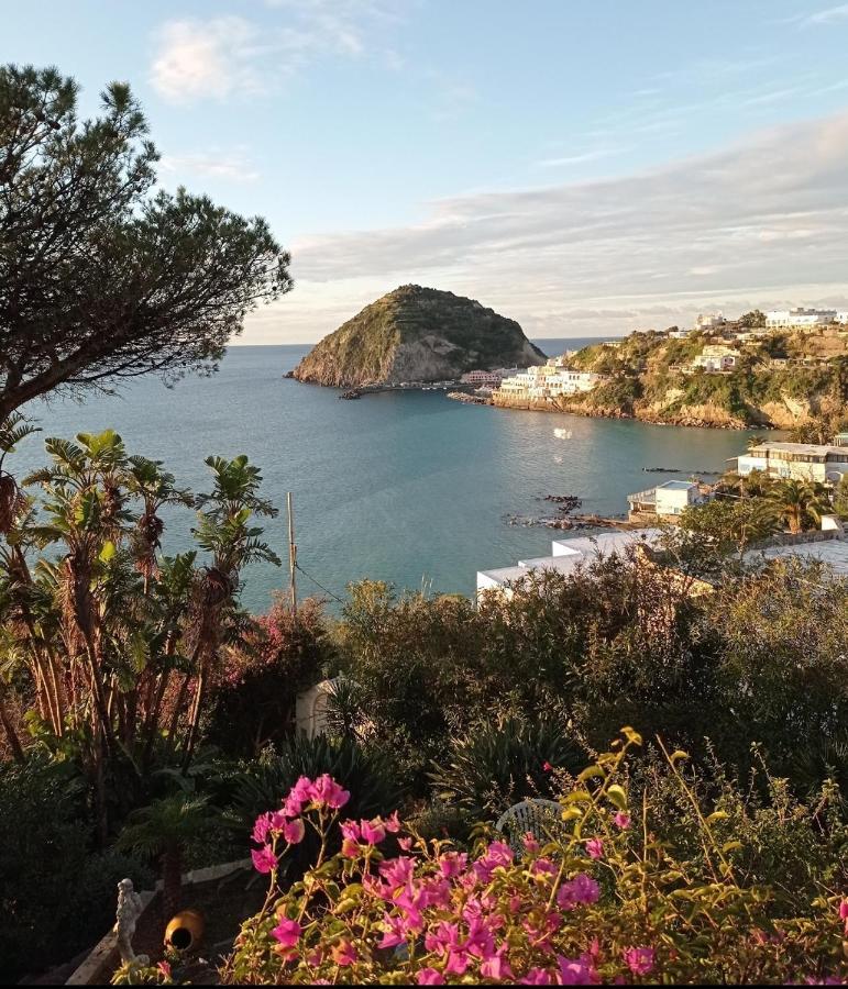 Mare Nostrum - Beachfront House - Sant'Angelo Ischia Exterior foto